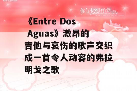 《Entre Dos Aguas》激昂的吉他与哀伤的歌声交织成一首令人动容的弗拉明戈之歌